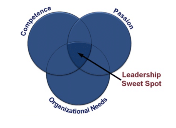 passion influences performance